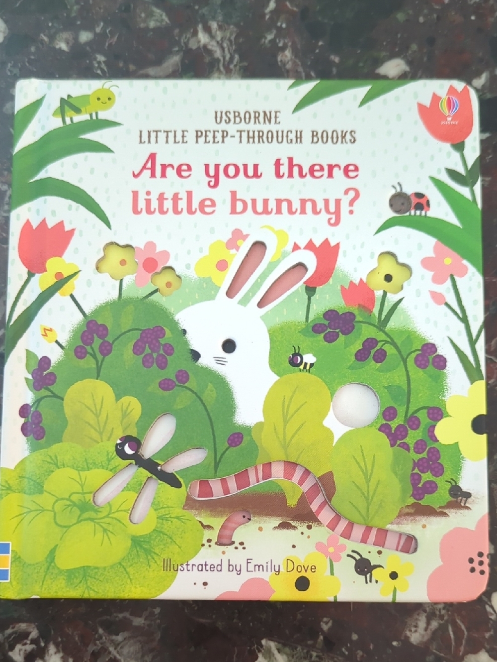 Usborne Are You There Little Bunny? Board Book - White